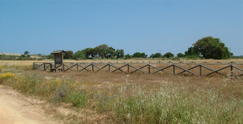 S&iacute;tios arqueol&oacute;gicos