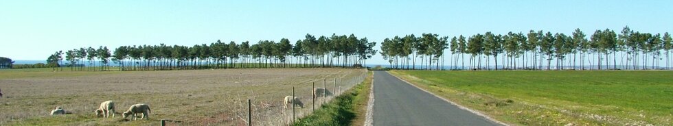 Desloca&ccedil;&otilde;es